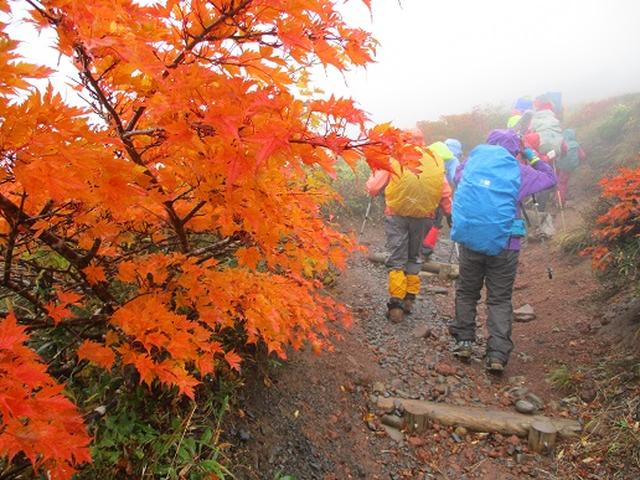 画像8: 【山旅会・登山ガイドこだわりツアー】岡田ガイドからの便り・安達太良山・栗駒山ツアーにいってまいりました!(その2)