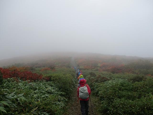 画像7: 【山旅会・登山ガイドこだわりツアー】岡田ガイドからの便り・安達太良山・栗駒山ツアーにいってまいりました!(その2)