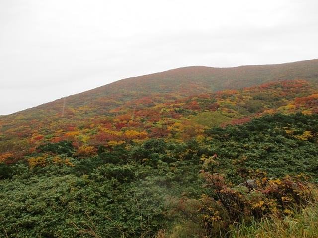 画像6: 【山旅会・登山ガイドこだわりツアー】岡田ガイドからの便り・安達太良山・栗駒山ツアーにいってまいりました!(その3)