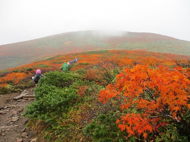画像5: 【山旅会・登山ガイドこだわりツアー】岡田ガイドからの便り・安達太良山・栗駒山ツアーにいってまいりました!(その3)