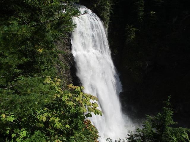 画像9: 【山旅会・登山ガイドこだわりツアー】岡田ガイドからの便り・尾瀬燧裏林道ツアーの下見にいってまいりました!