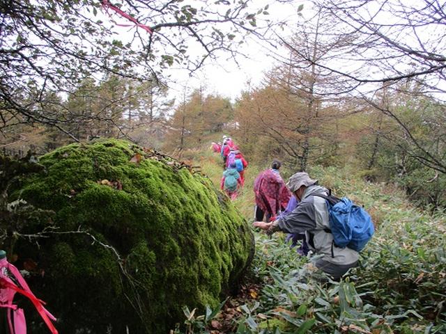画像9: 【山旅会・登山ガイドこだわりツアー】添乗員からの便り・八子ヶ峰ツアーにいってまいりました!