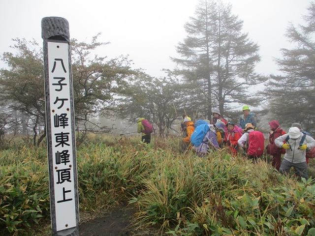 画像5: 【山旅会・登山ガイドこだわりツアー】添乗員からの便り・八子ヶ峰ツアーにいってまいりました!
