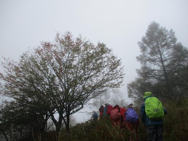 画像2: 【山旅会・登山ガイドこだわりツアー】添乗員からの便り・八子ヶ峰ツアーにいってまいりました!