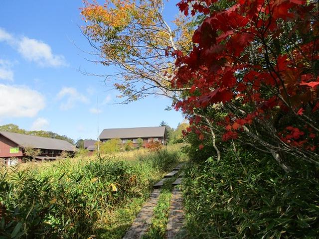 画像7: 【山旅会・登山ガイドこだわりツアー】岡田ガイドからの便り・尾瀬燧裏林道ツアーの下見にいってまいりました!