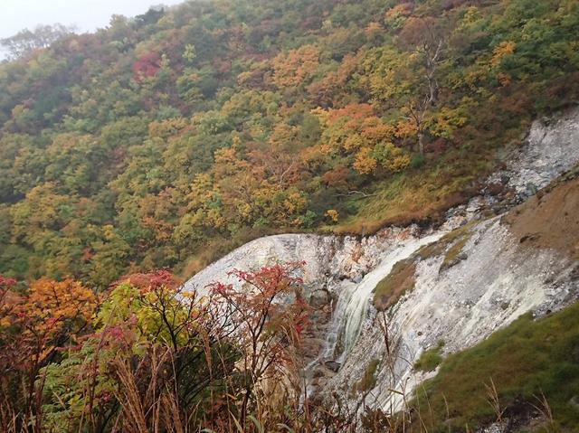 画像6: 【山旅会・登山ガイドこだわりツアー】添乗員からの便り・蔵王と栗駒山のハイキングにいってまいりました!