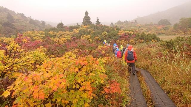 画像5: 【山旅会・登山ガイドこだわりツアー】添乗員からの便り・蔵王と栗駒山のハイキングにいってまいりました!
