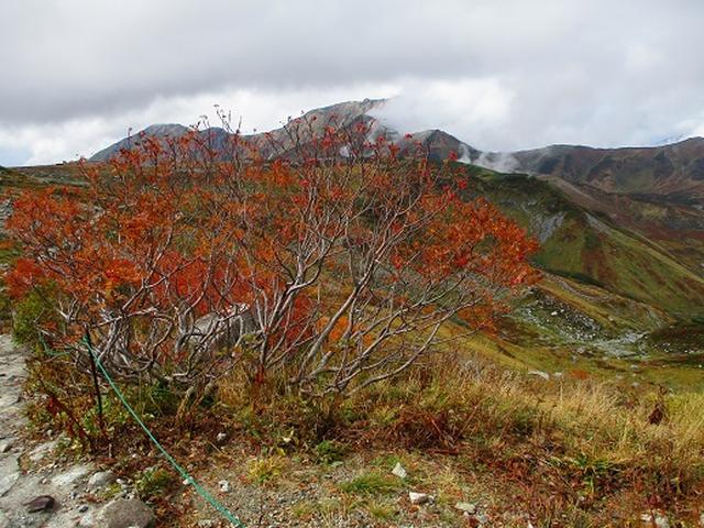 画像4: 【山旅会・登山ガイドこだわりツアー】岡田ガイドからの便り・立山雄山の下見にいってまいりました!