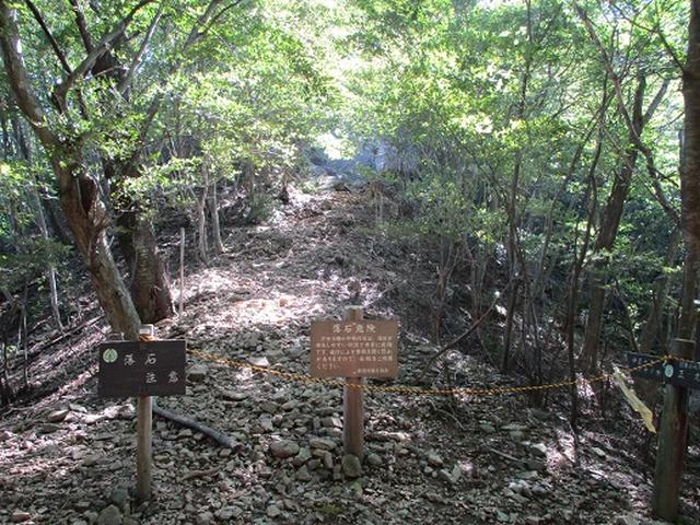 画像5: 【山旅会・登山ガイドこだわりツアー】岡田ガイドからの便り・伊豆ヶ岳の下見にいってまいりました!