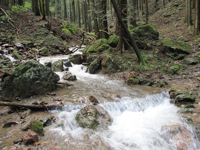 画像10: 【山旅会・登山ガイドこだわりツアー】岡田ガイドからの便り・伊豆ヶ岳の下見にいってまいりました!
