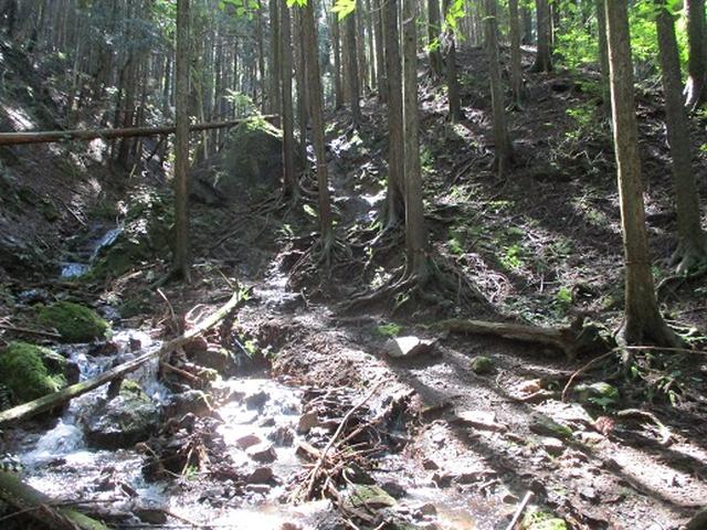 画像4: 【山旅会・登山ガイドこだわりツアー】岡田ガイドからの便り・伊豆ヶ岳の下見にいってまいりました!