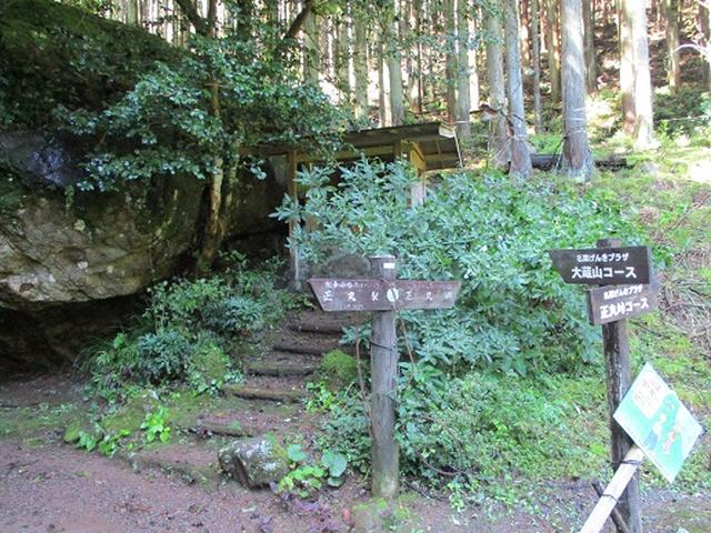 画像2: 【山旅会・登山ガイドこだわりツアー】岡田ガイドからの便り・伊豆ヶ岳の下見にいってまいりました!