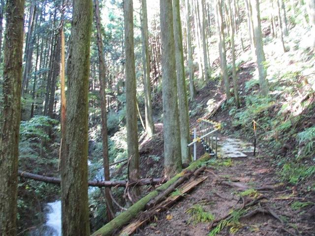 画像3: 【山旅会・登山ガイドこだわりツアー】岡田ガイドからの便り・伊豆ヶ岳の下見にいってまいりました!