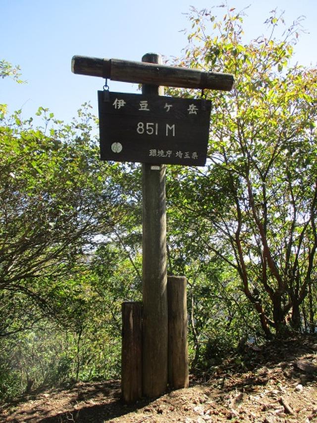 画像8: 【山旅会・登山ガイドこだわりツアー】岡田ガイドからの便り・伊豆ヶ岳の下見にいってまいりました!