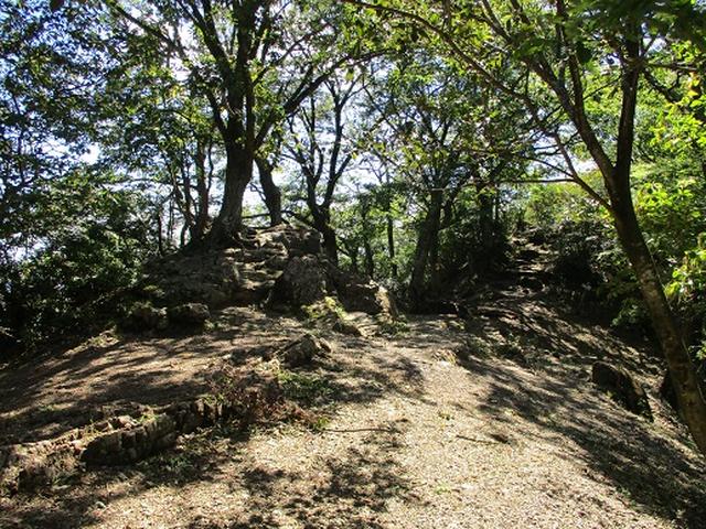 画像7: 【山旅会・登山ガイドこだわりツアー】岡田ガイドからの便り・伊豆ヶ岳の下見にいってまいりました!