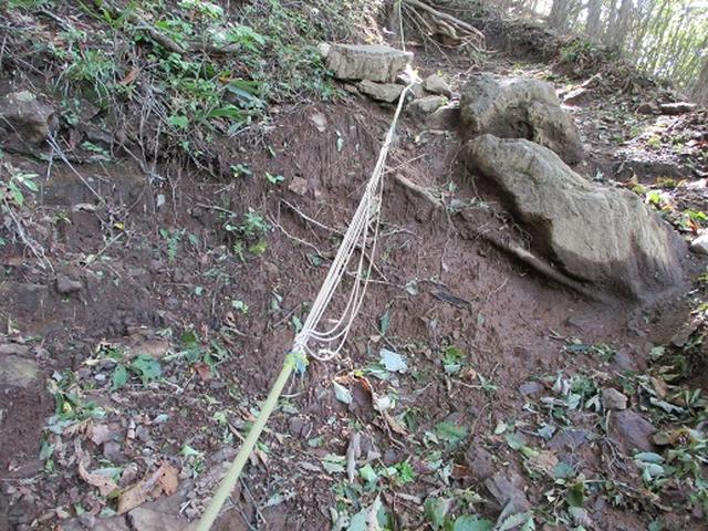 画像6: 【山旅会・登山ガイドこだわりツアー】岡田ガイドからの便り・伊豆ヶ岳の下見にいってまいりました!