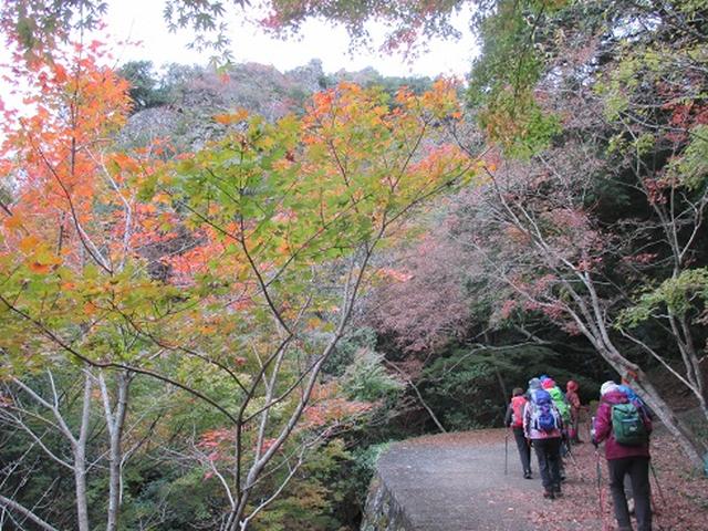 画像6: 【山旅会・登山ガイドこだわりツアー】岡田ガイドからの便り・飯野山と小豆島ツアーのご案内