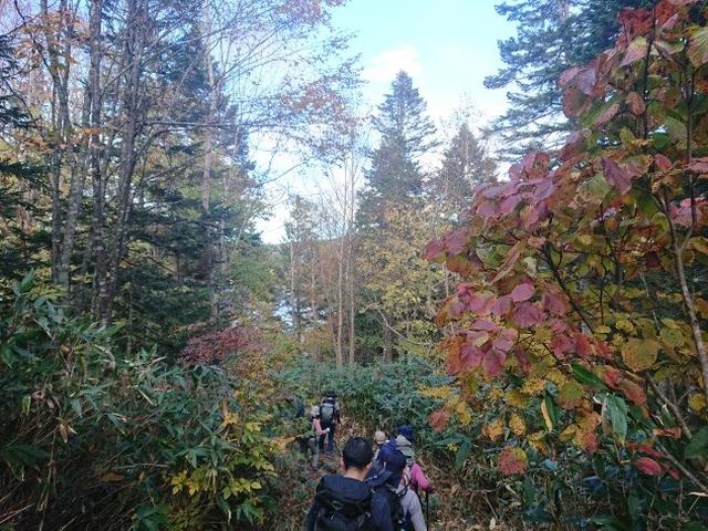 画像6: 【山旅会・登山ガイドこだわりツアー】添乗員からの便り・大清水から尾瀬沼