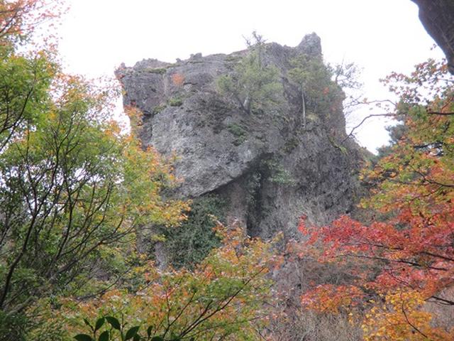 画像7: 【山旅会・登山ガイドこだわりツアー】岡田ガイドからの便り・飯野山と小豆島ツアーのご案内