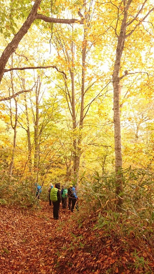 画像5: 【山旅会・登山ガイドこだわりツアー】添乗員からの便り・尾瀬沼から沼田街道