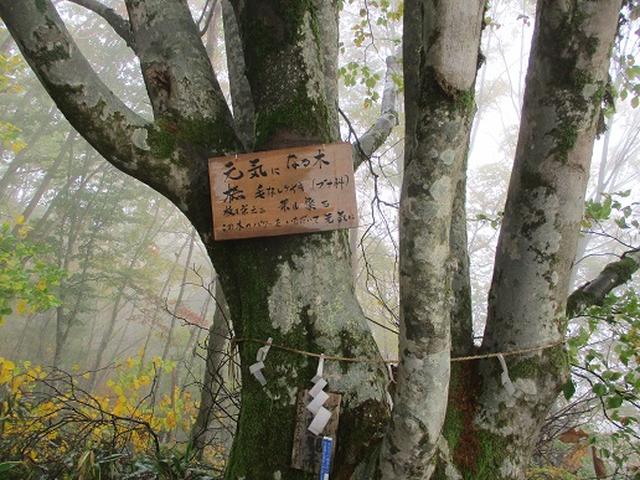 画像8: 【山旅会・登山ガイドこだわりツアー】岡田ガイドからの便り・守屋山の下見にいってまいりました!