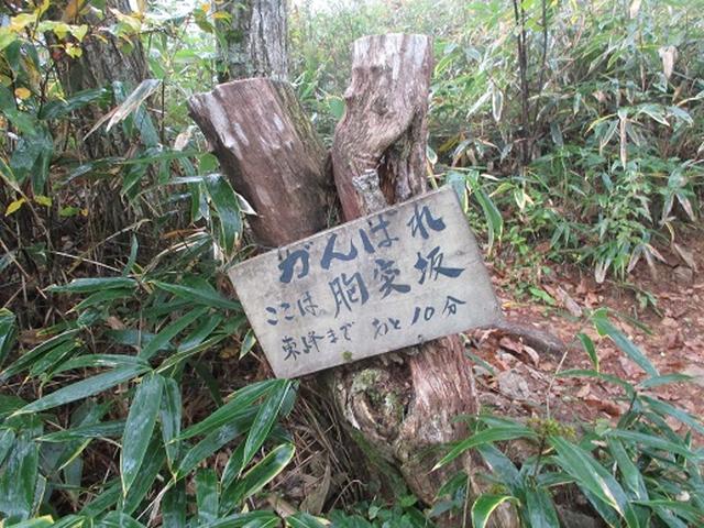 画像5: 【山旅会・登山ガイドこだわりツアー】岡田ガイドからの便り・守屋山の下見にいってまいりました!