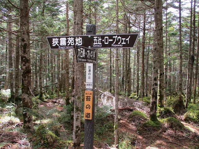 画像5: 【山旅会・登山ガイドこだわりツアー】岡田ガイドからの便り・麦草峠から五辻ツアーの下見にいってまいりました!