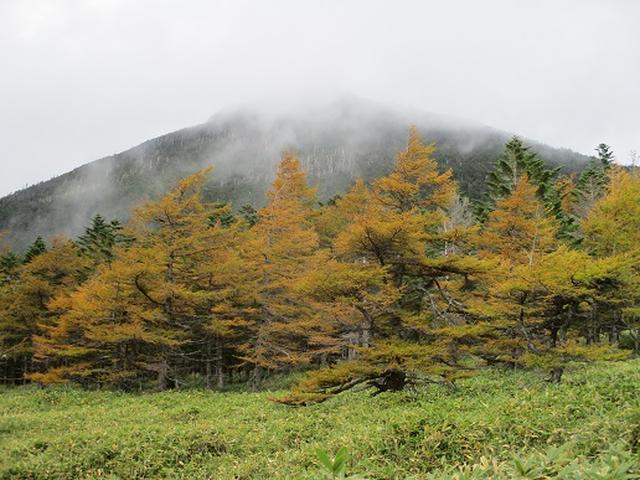 画像3: 【山旅会・登山ガイドこだわりツアー】岡田ガイドからの便り・麦草峠から五辻ツアーの下見にいってまいりました!