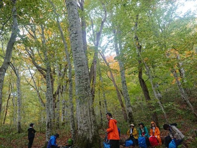 画像7: 【山旅会・登山ガイドこだわりツアー】添乗員からの便り・尾瀬沼から沼田街道