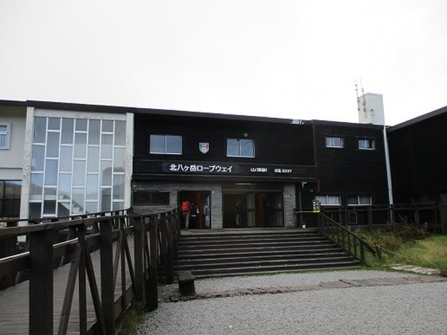 画像10: 【山旅会・登山ガイドこだわりツアー】岡田ガイドからの便り・麦草峠から五辻ツアーの下見にいってまいりました!