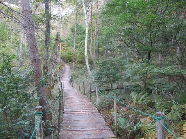 画像3: 【山旅会・登山ガイドこだわりツアー】岡田ガイドからの便り・守屋山の下見にいってまいりました!