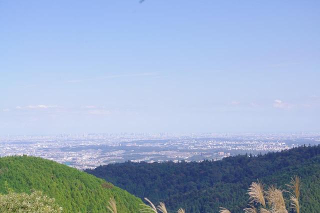 画像: 城山の山頂からの展望。写真では見辛いですが、奥の方に高層ビル群、スカイツリーまで見えました!
