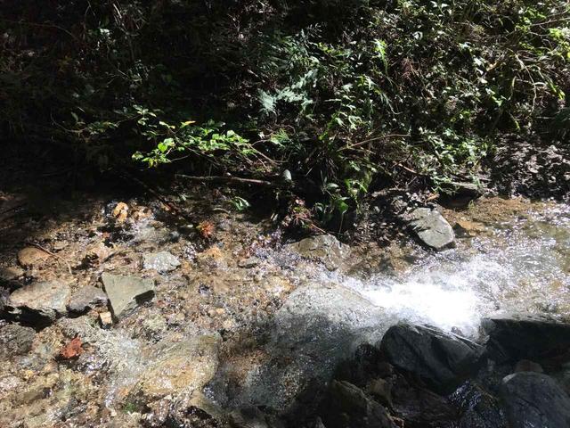 画像: お水の透明度が高くて綺麗!お水に触ったら冷たくて気持ち良かったです。
