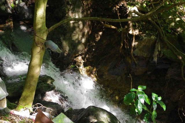 画像: 水しぶきが止まって見える撮り方