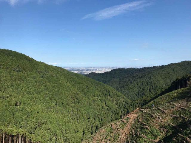 画像: いきなり開けた場所に出ました!絶景どーん!