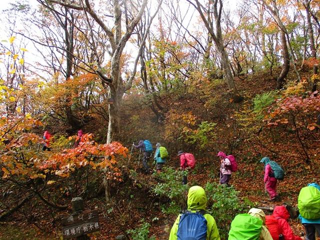 画像6: 【山旅会・登山ガイドこだわりツアー】岡田ガイドからの便り・那須ツアーにいってまいりました!(その1)