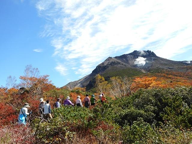 画像4: 【山旅会・登山ガイドこだわりツアー】岡田ガイドからの便り・那須ツアーにいってまいりました!(その2)