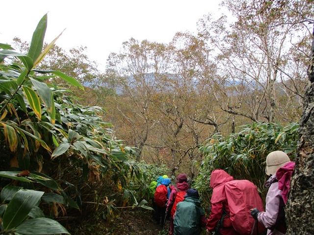 画像5: 【山旅会・登山ガイドこだわりツアー】岡田ガイドからの便り・那須ツアーにいってまいりました!(その2)