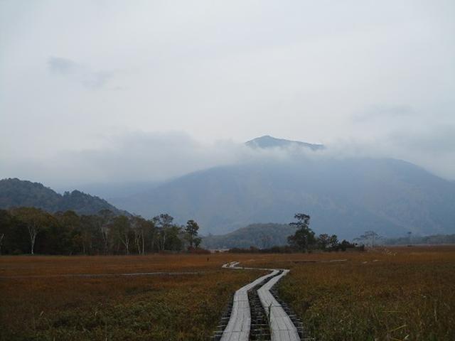画像7: 【山旅会・登山ガイドこだわりツアー】添乗員からの便り・尾瀬燧裏林道ツアーにいってまいりました!(その1)