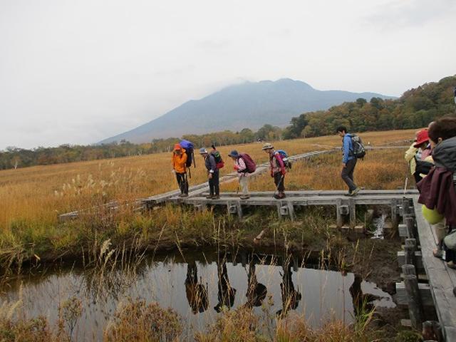 画像9: 【山旅会・登山ガイドこだわりツアー】添乗員からの便り・尾瀬燧裏林道ツアーにいってまいりました!(その1)