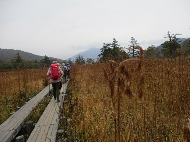 画像6: 【山旅会・登山ガイドこだわりツアー】添乗員からの便り・尾瀬燧裏林道ツアーにいってまいりました!(その1)
