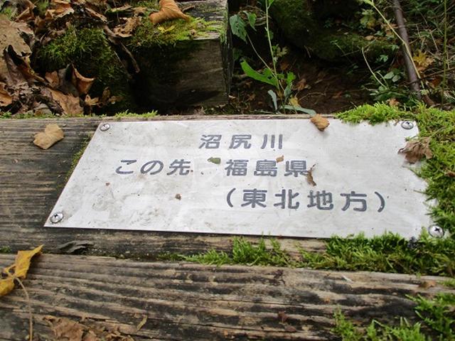 画像11: 【山旅会・登山ガイドこだわりツアー】添乗員からの便り・尾瀬燧裏林道ツアーにいってまいりました!(その1)
