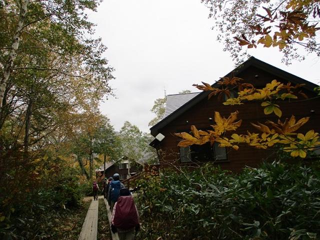 画像4: 【山旅会・登山ガイドこだわりツアー】添乗員からの便り・尾瀬燧裏林道ツアーにいってまいりました!(その1)