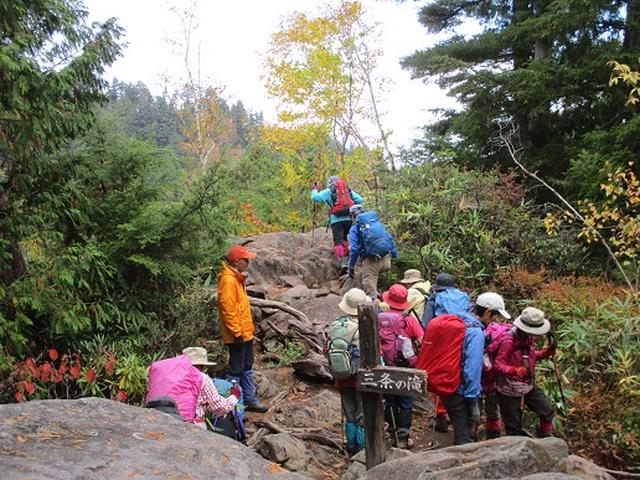 画像7: 【山旅会・登山ガイドこだわりツアー】添乗員からの便り・尾瀬燧裏林道ツアーにいってまいりました!(その2)