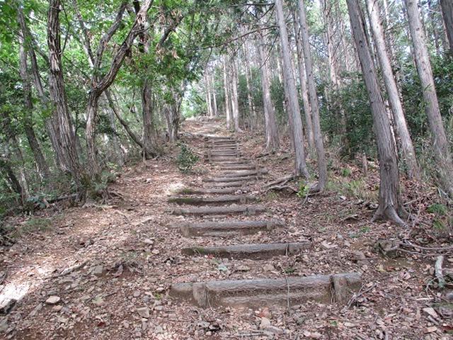 画像6: 【山旅会・登山ガイドこだわりツアー】岡田ガイドからの便り・足利行道山の下見にいってまいりました!