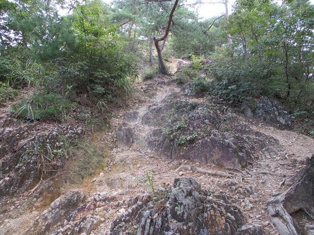画像2: 【山旅会・登山ガイドこだわりツアー】岡田ガイドからの便り・足利行道山の下見にいってまいりました!