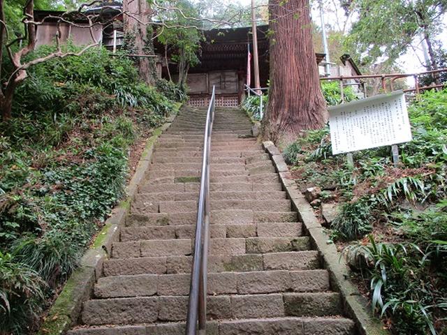 画像7: 【山旅会・登山ガイドこだわりツアー】岡田ガイドからの便り・足利行道山の下見にいってまいりました!