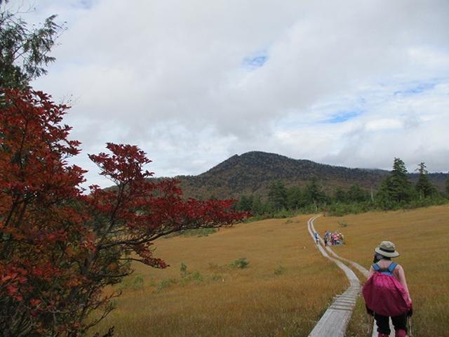画像11: 【山旅会・登山ガイドこだわりツアー】添乗員からの便り・尾瀬燧裏林道ツアーにいってまいりました!(その3)