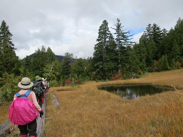 画像10: 【山旅会・登山ガイドこだわりツアー】添乗員からの便り・尾瀬燧裏林道ツアーにいってまいりました!(その3)