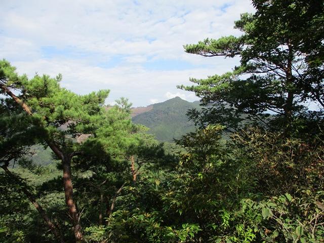 画像5: 【山旅会・登山ガイドこだわりツアー】岡田ガイドからの便り・足利行道山の下見にいってまいりました!